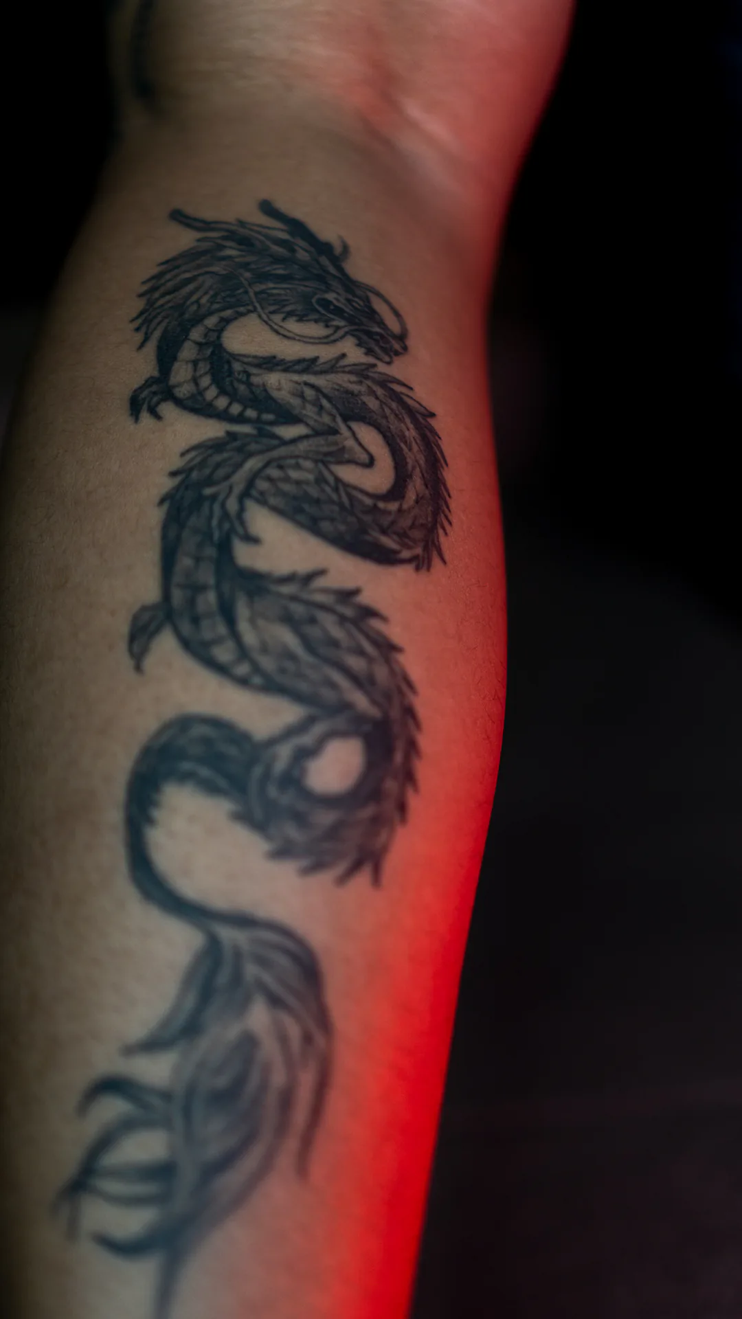 DRAGON · WAHYU