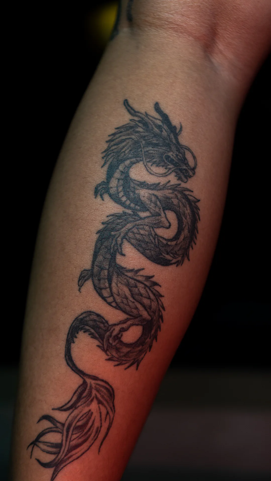 SERPENT · WAHYU