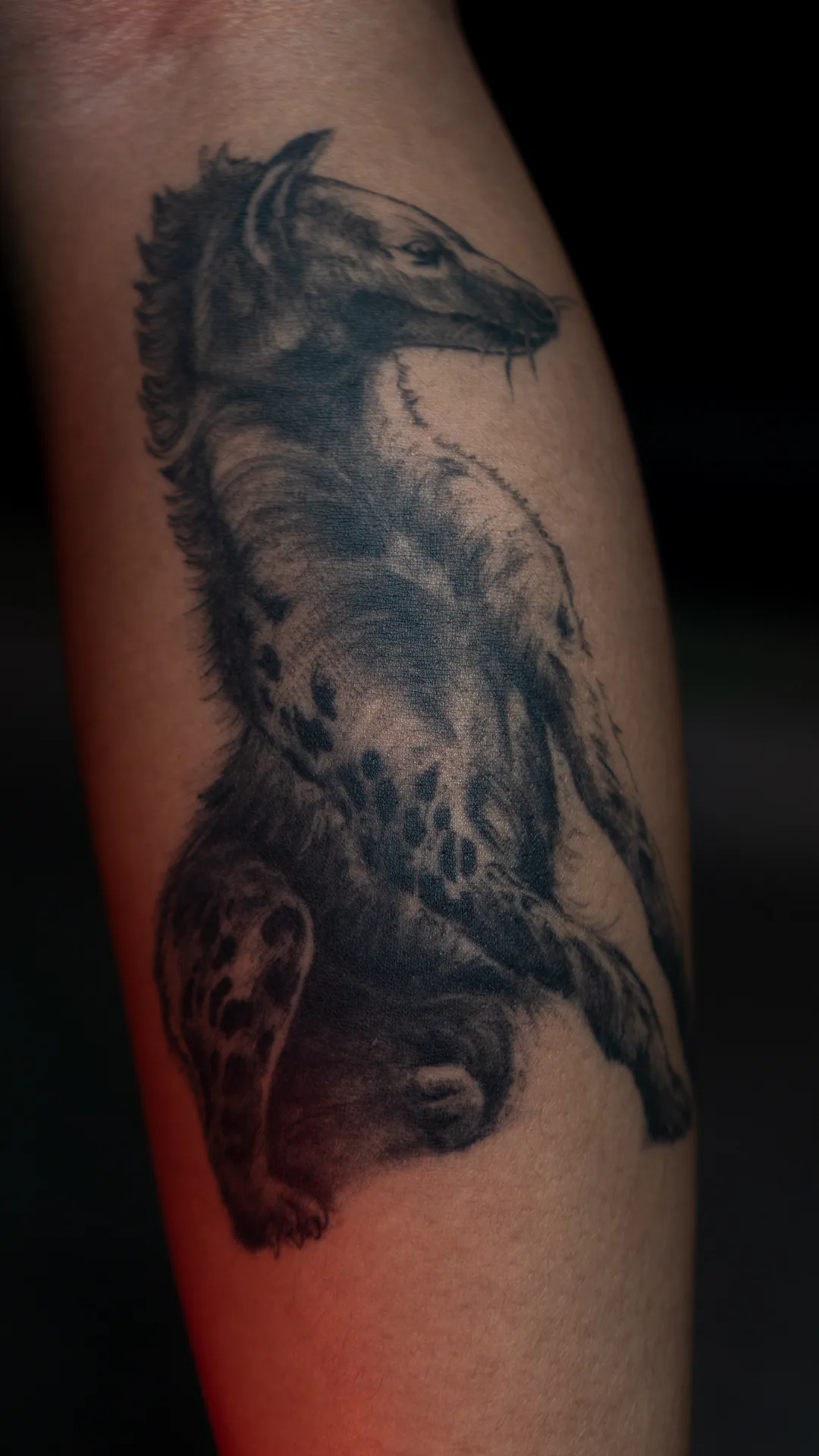 BEAST · WAHYU
