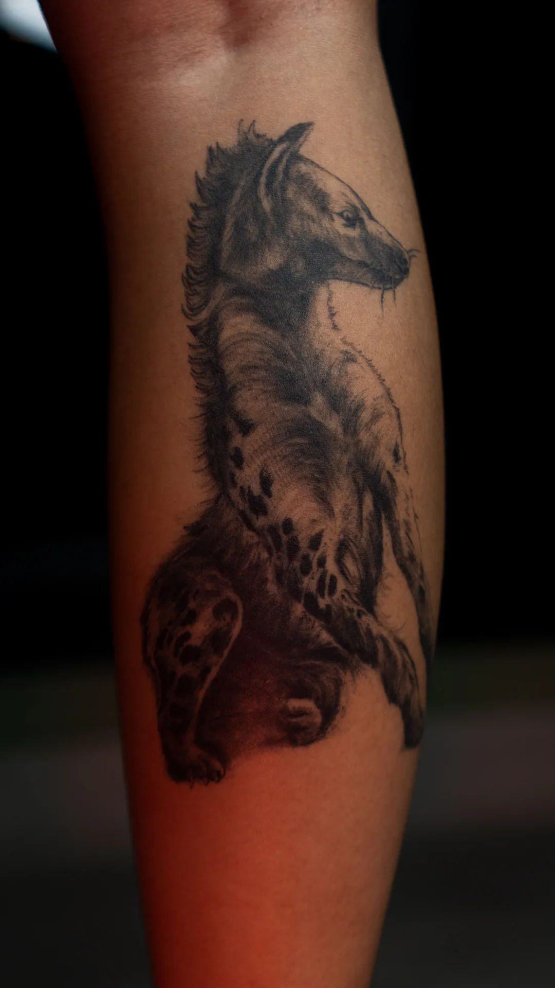 LEG · WAHYU