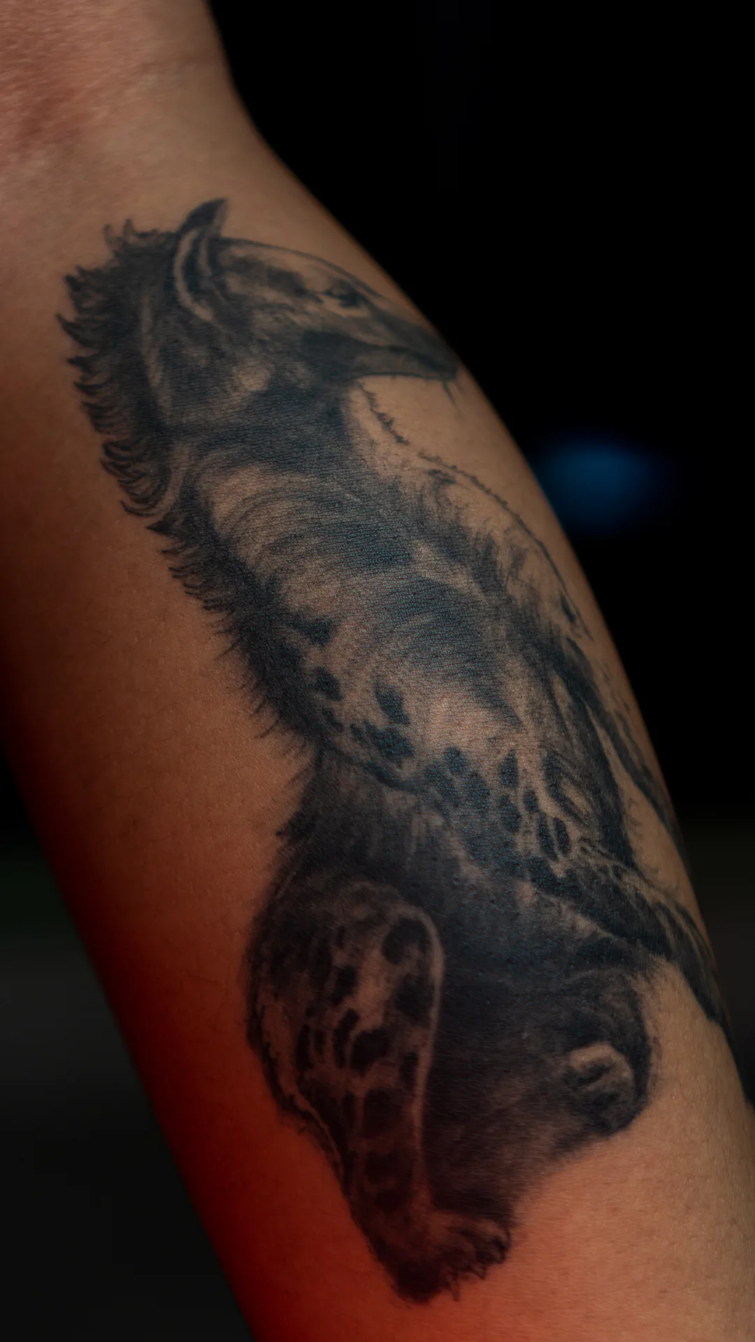 BEAST · WAHYU