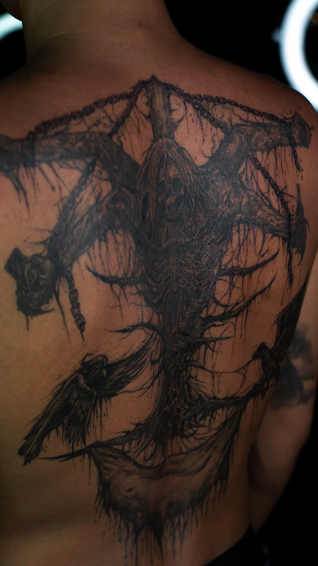 TORSO · PEPS