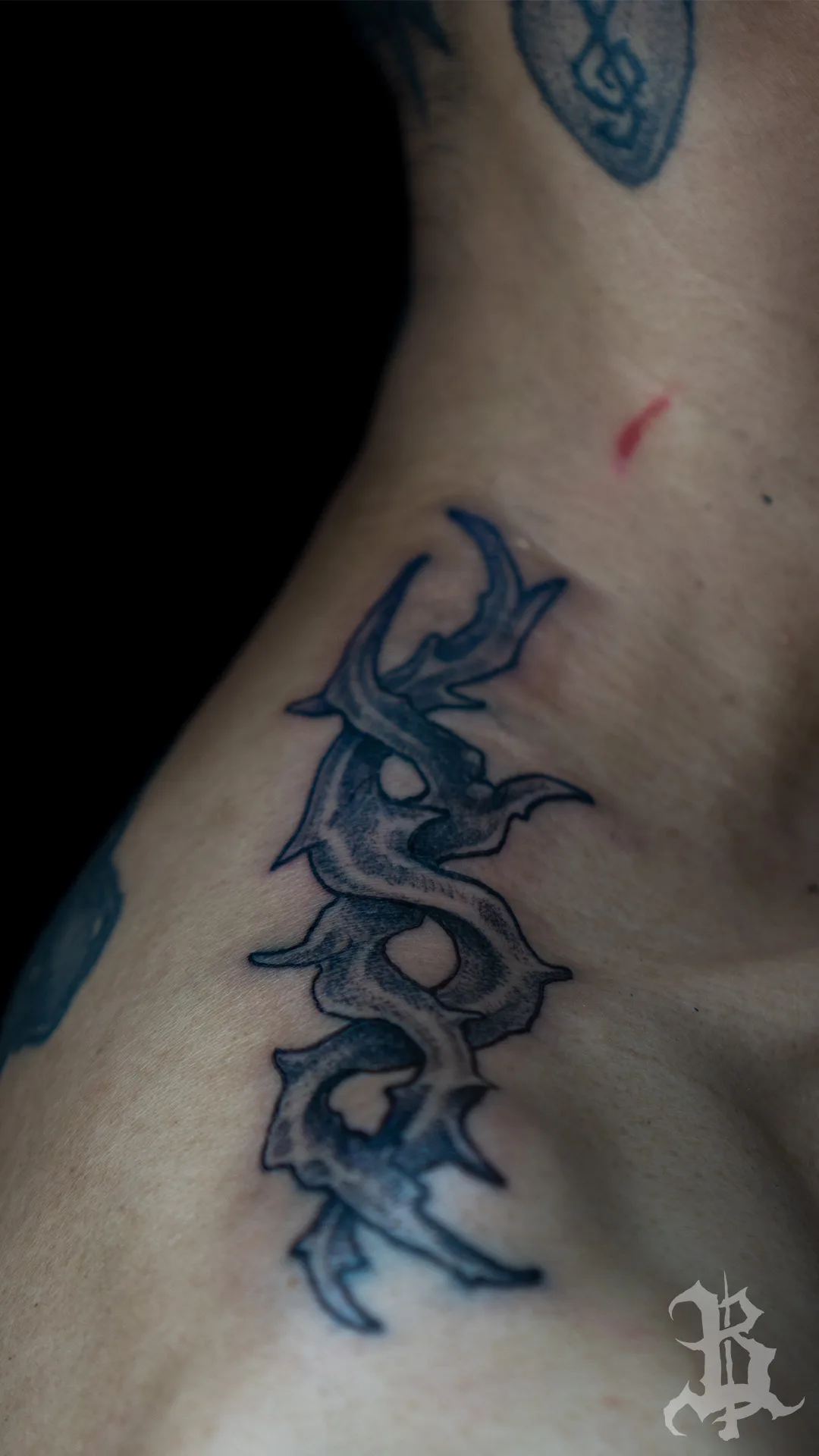 TRIBAL · BOM2X